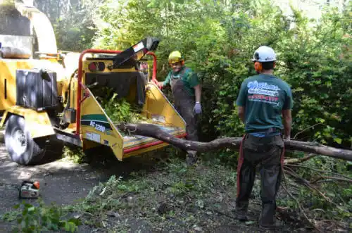 tree services Mishawaka